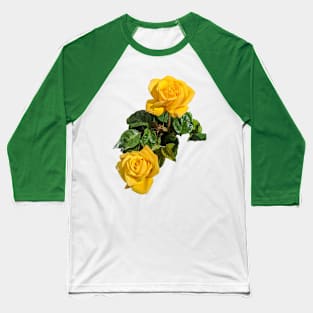 Yellow Rose Baseball T-Shirt